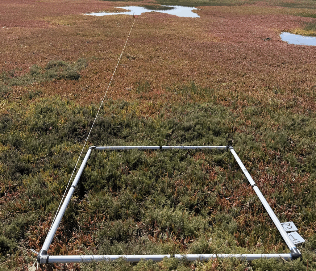 Baseline Environmental Monitoring Underway 